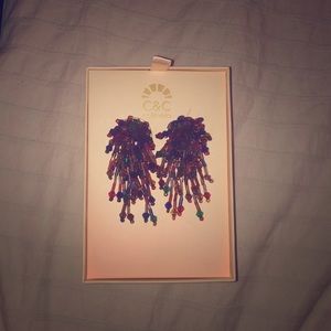 Stand out in a crowd earrings